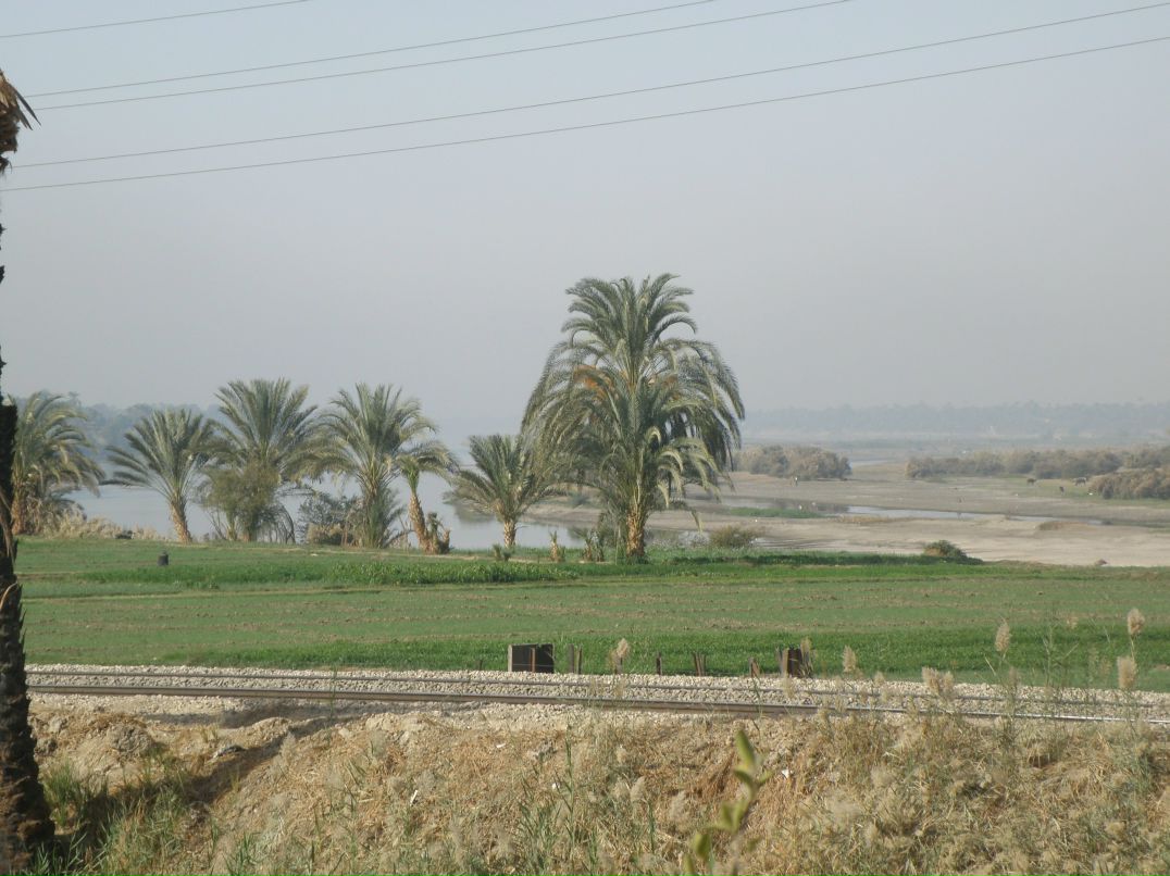 Надежда Цыганкова | Тольятти