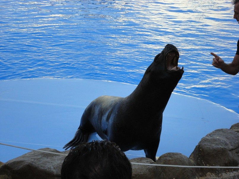 Михаил Натин | Пермь