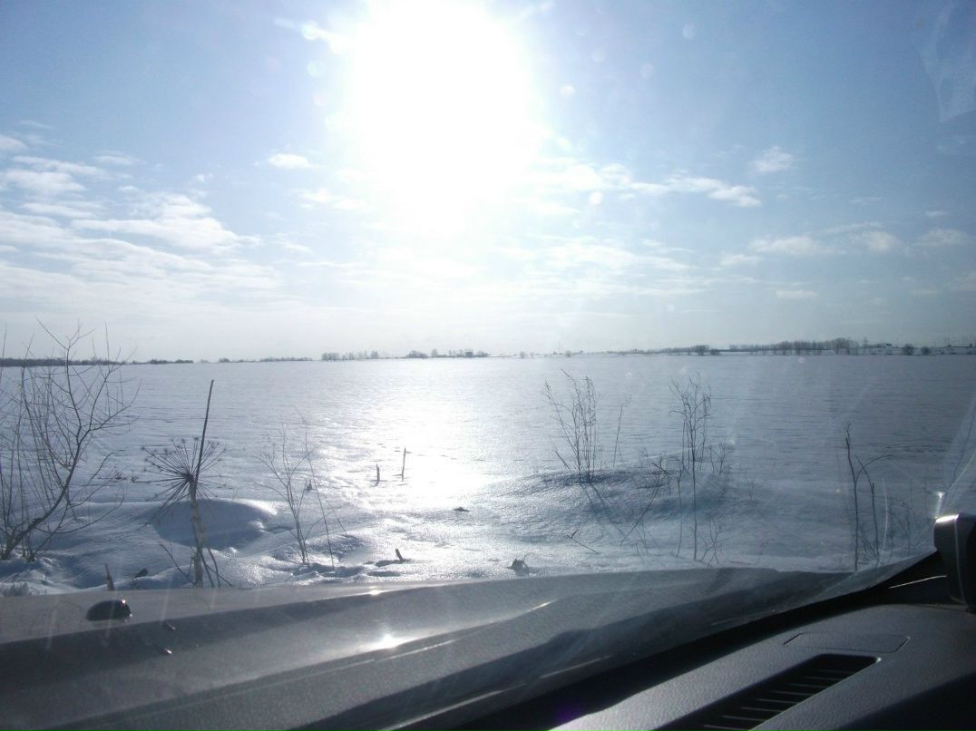 Герман Бойцов | Санкт-Петербург