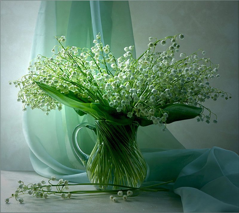 Алла Петрова | Москва