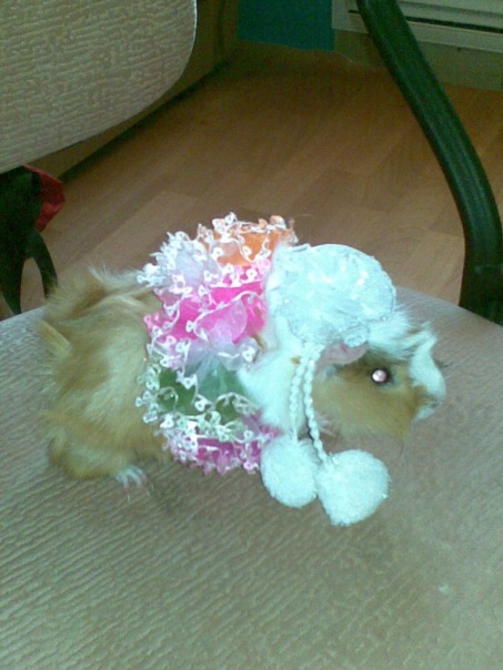 №5, Irina Panikarovskih, Киров, Россия №5, Irina Panikarovskih, Киров, Россия