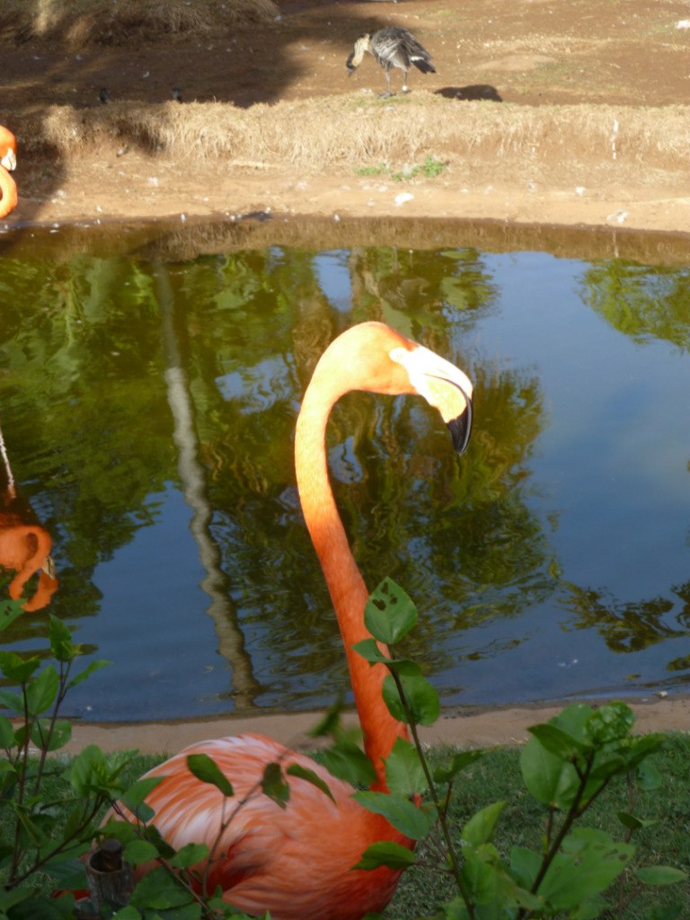 Лариса Федорова | New York City