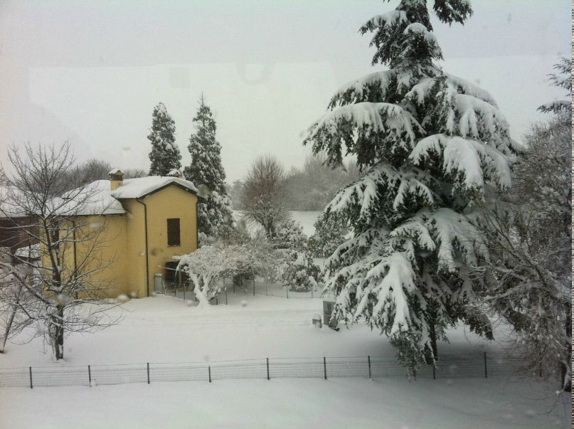 Тереса Мыслицкая | Madrid