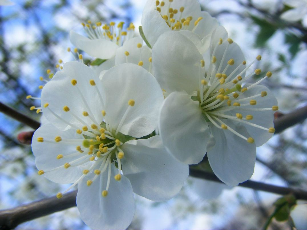 Ilona Locmele | Kārsava