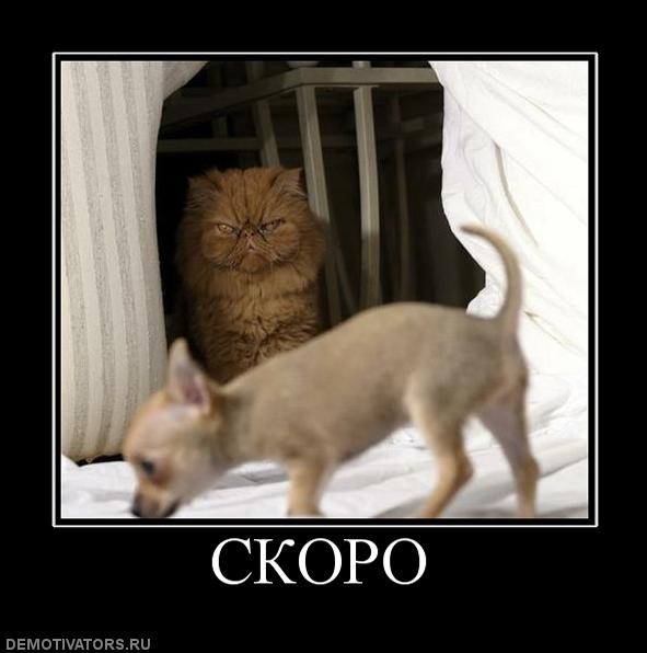 №146, Тимур Ефремов, Ханты-Мансийск №146, Тимур Ефремов, Ханты-Мансийск