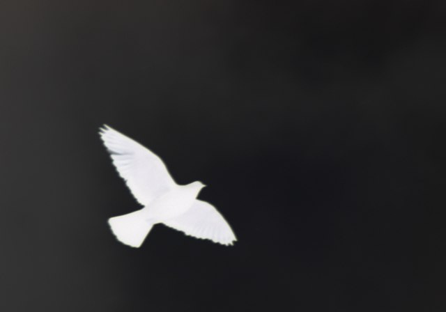 Дмитрий Болдырев | Уральск