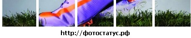 Игорь Терентюк фото со стены #4