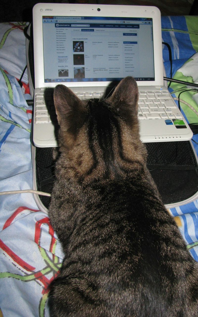 Veritas Aequitas xVx | Минск