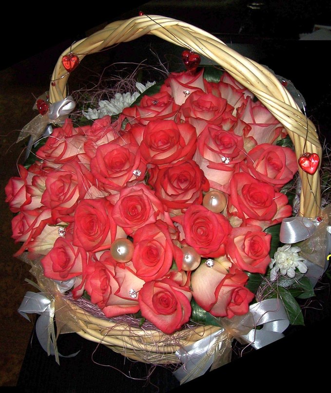 Алла Астраханцева Lissa | Санкт-Петербург