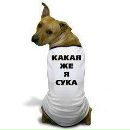 Фотография Ленчик Полякова