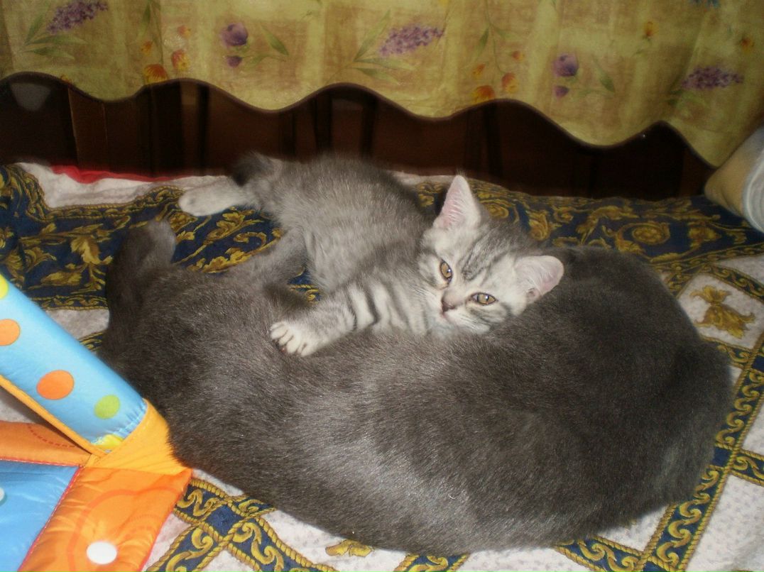 Лидия Барынина | Москва