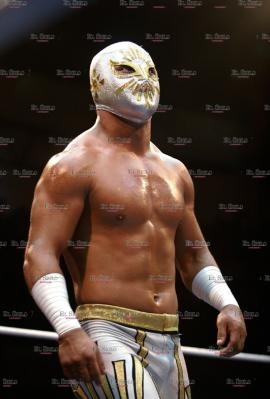 №25, Макс Соколов, Москва №25, Макс Соколов, Москва