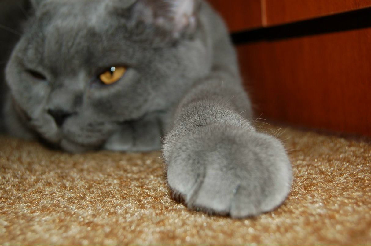 Данил Ступак Al. | Москва