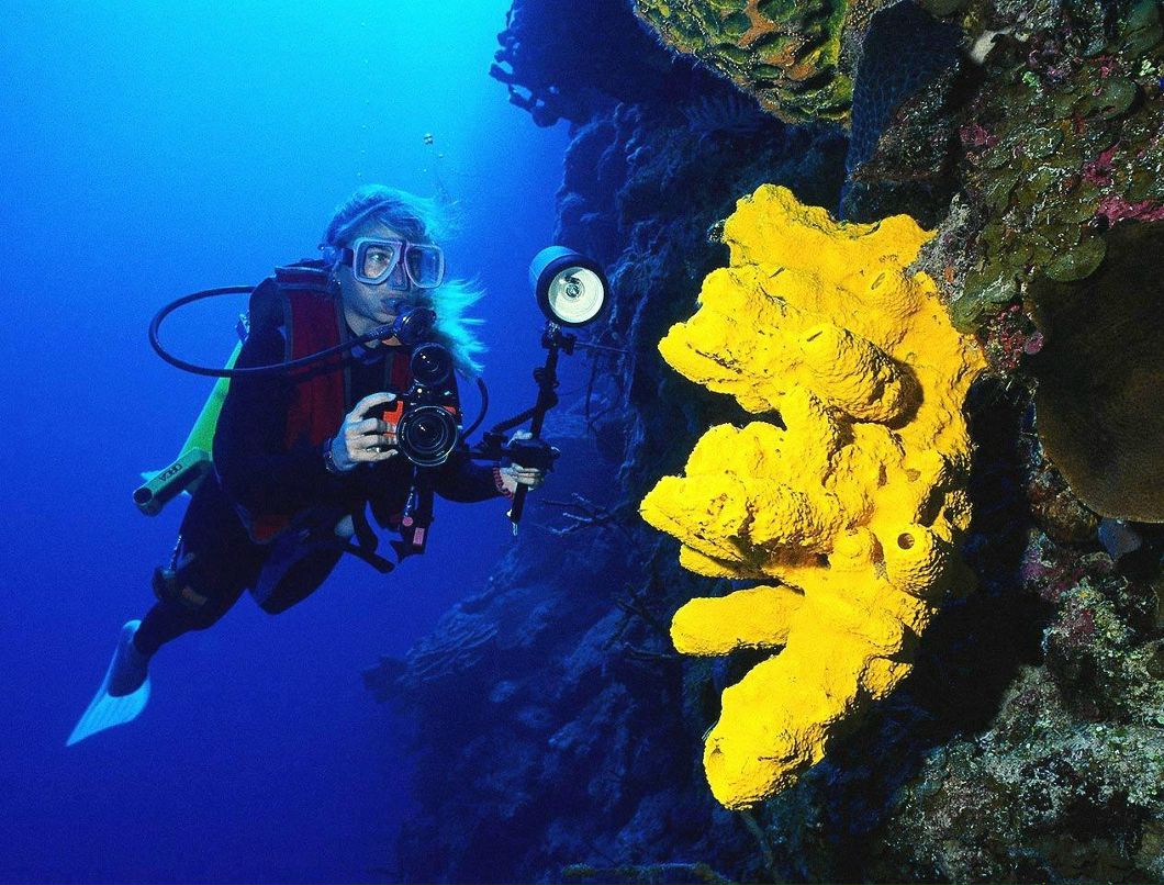 Таня Кинаш | 