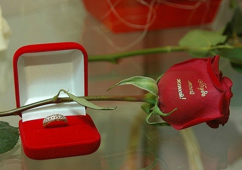 Юлианна Литвиненко (Баранова) | Запорожье