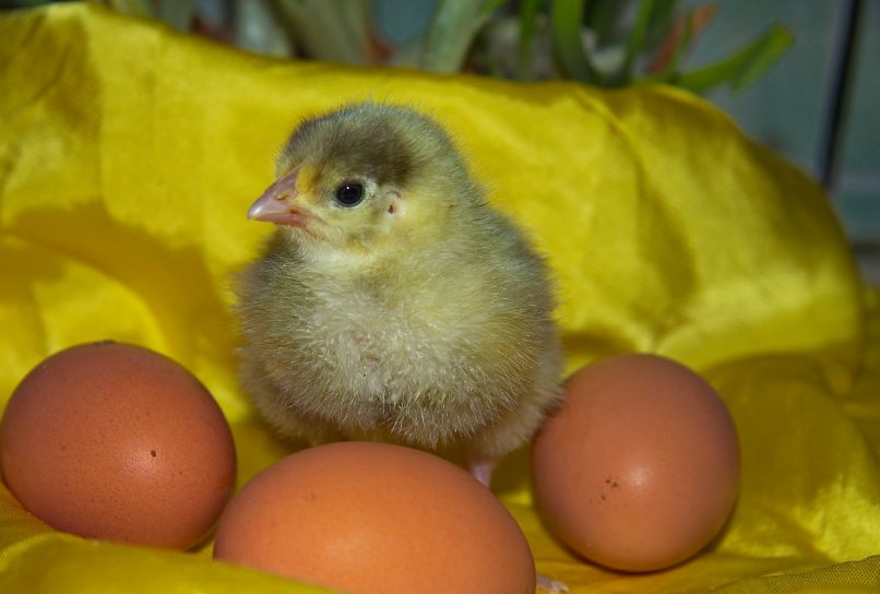 Татьяна Гавриленко | Ростов-на-Дону