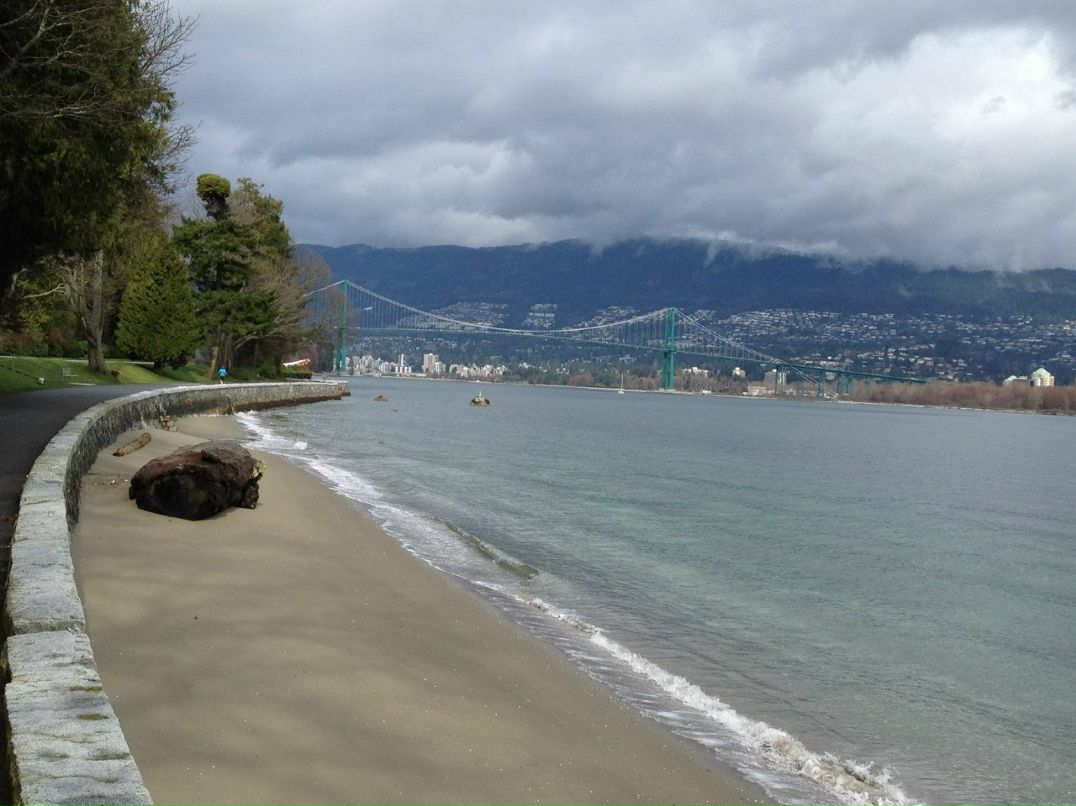 Светлана Попова | Москва