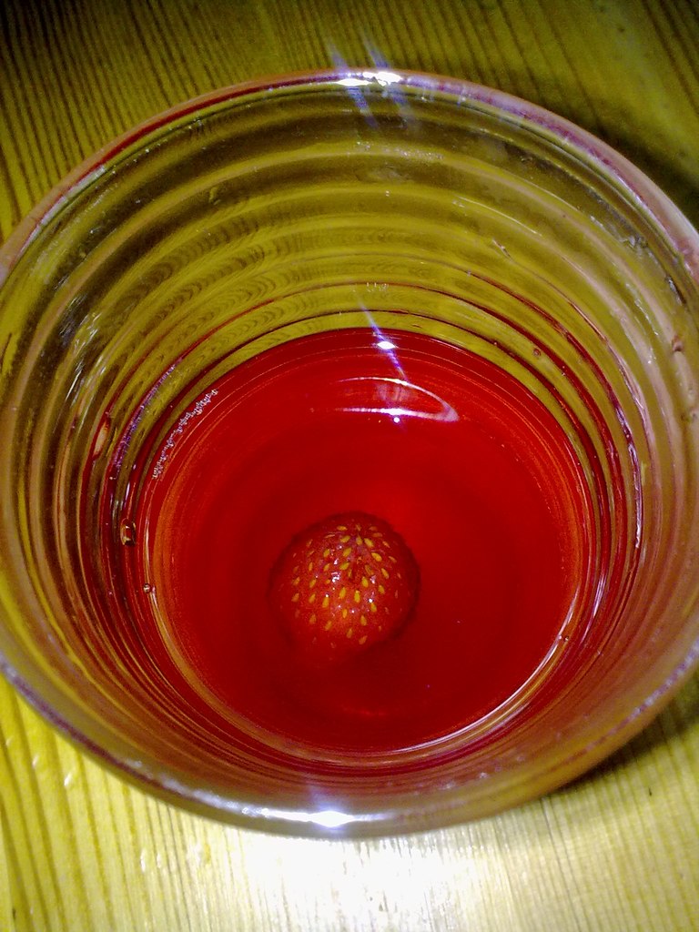 Камилочка Мус | Москва