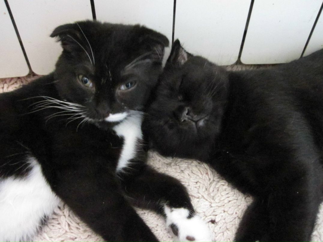 Ольга Белова | Самара