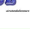 Алёна Чаус | Киев