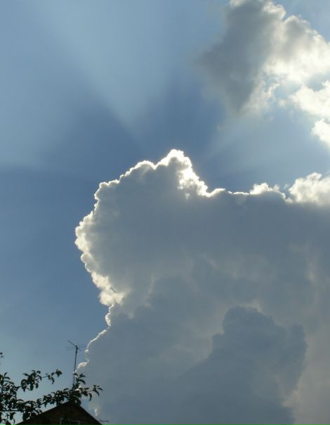 №48, Рома Ожех, Житомир №48, Рома Ожех, Житомир