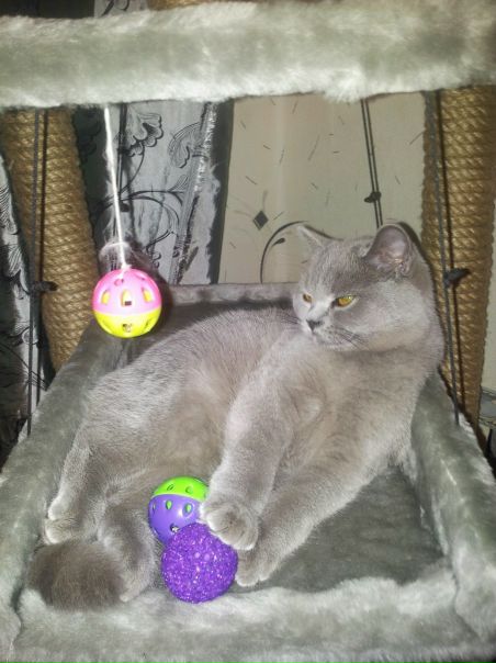 №94, Артемий Грицкевич, Санкт-Петербург №94, Артемий Грицкевич, Санкт-Петербург