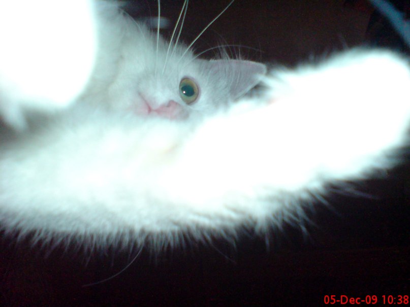 Геннадий Архаров | Москва