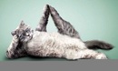 Фотография Косс Ксении