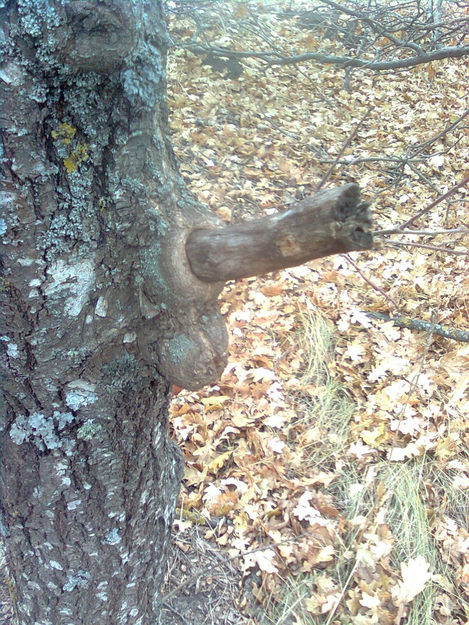 Анатолий Любенко | Николаев