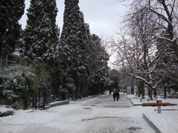 Victor Shibalov Igorevih | Ялта