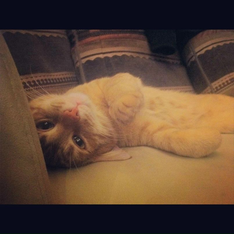 Катюня Михеева | Москва