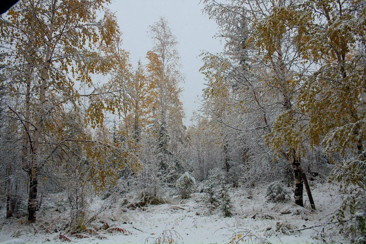 Алексей Дремлюга | Благовещенск