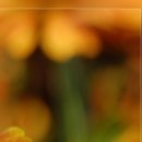 №14, Олег Водинов, Череповец №14, Олег Водинов, Череповец