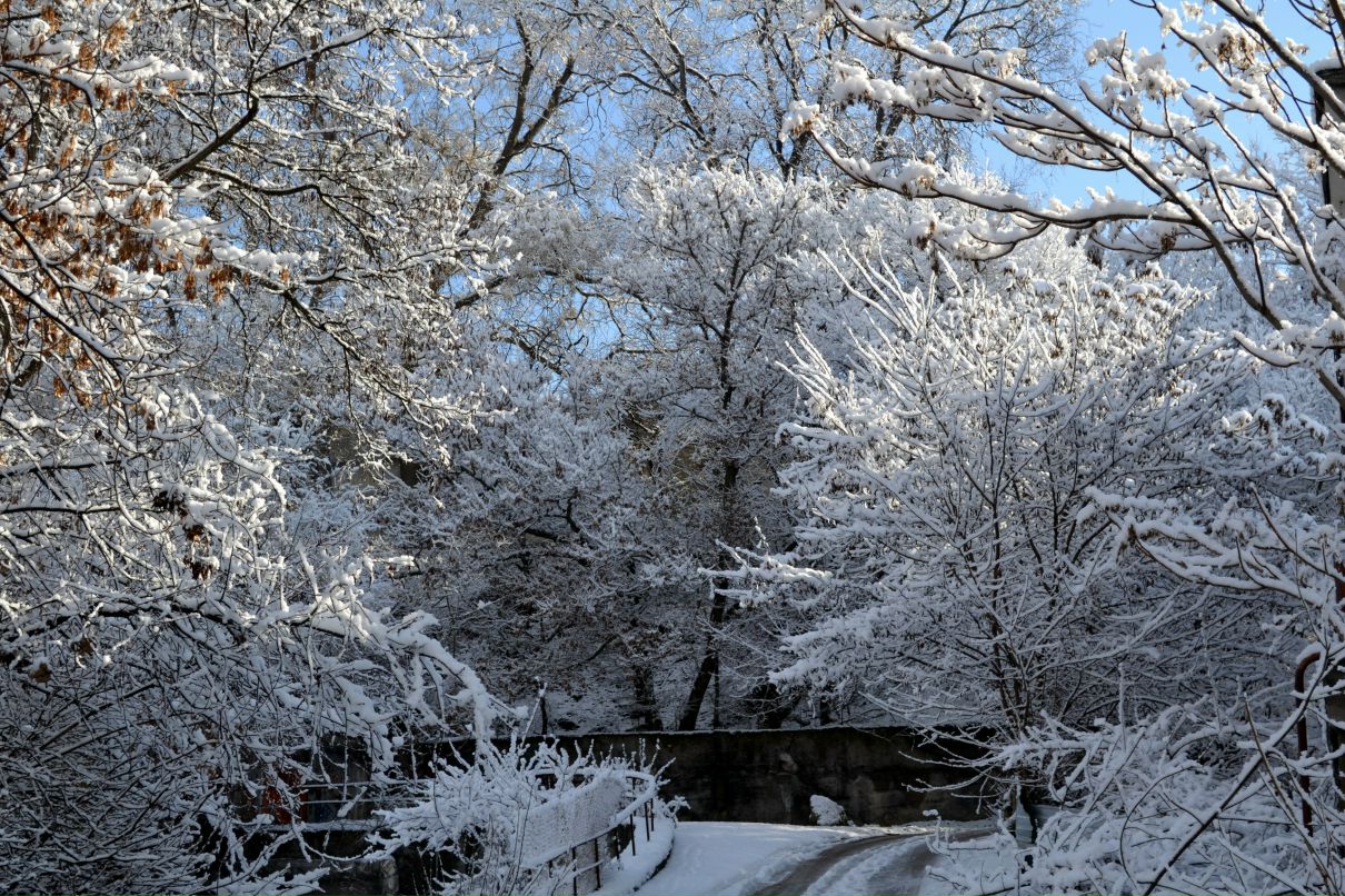 Кирилл Яковченко | Севастополь