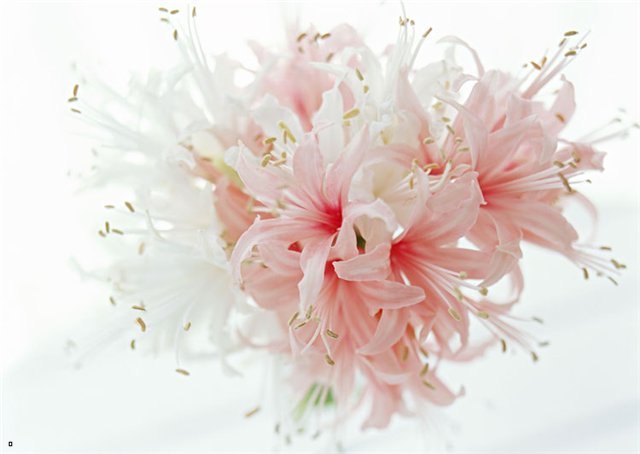 Юлия Критикова | Москва