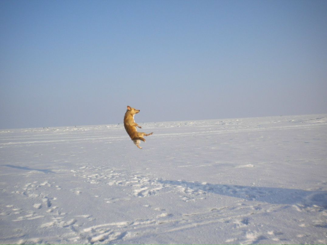 Надежда Мания | Санкт-Петербург