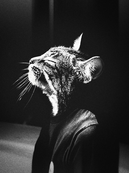 Настя Зайцева | Новомосковск