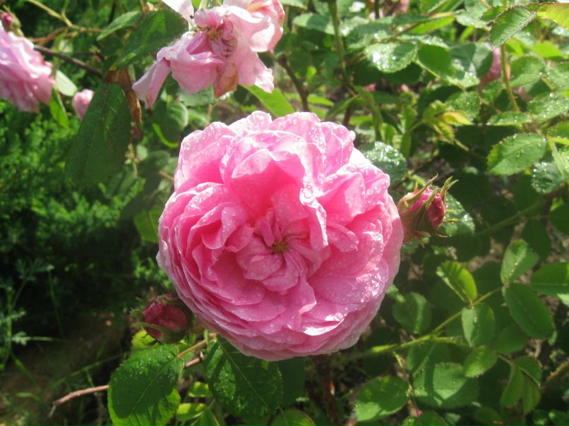 Вера Кульневич | Челябинск