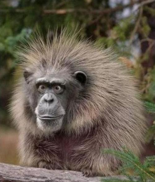 Вася Зайцев | 