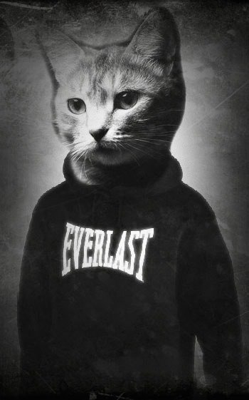 Влад Богомолов | Волгоград