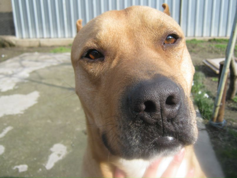 Людмила Буренина | Измаил