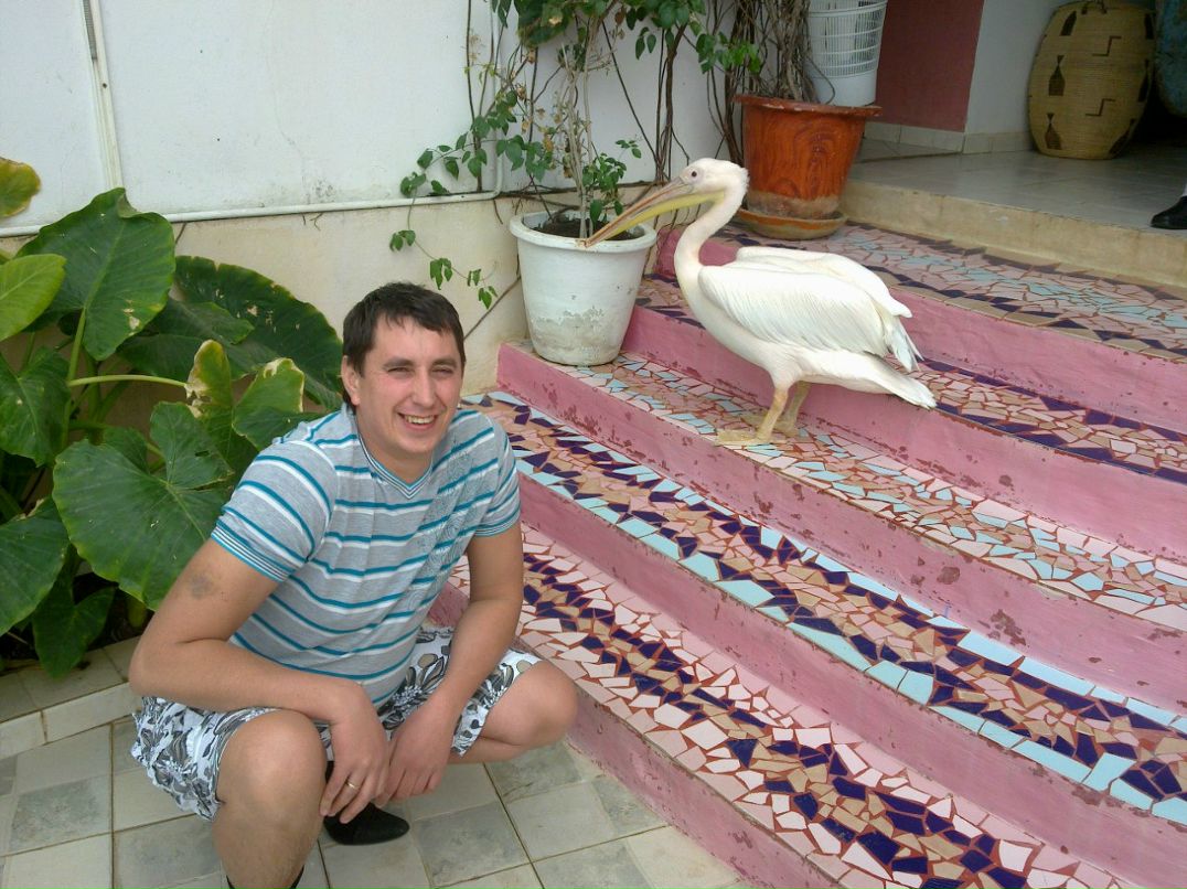 Алексей Гриценко | Киев