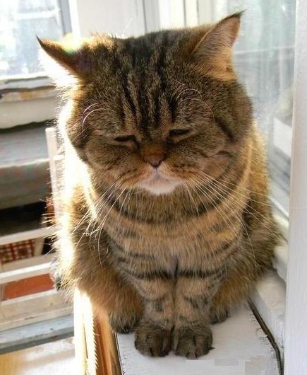 Валерия Лисеенко | Киев