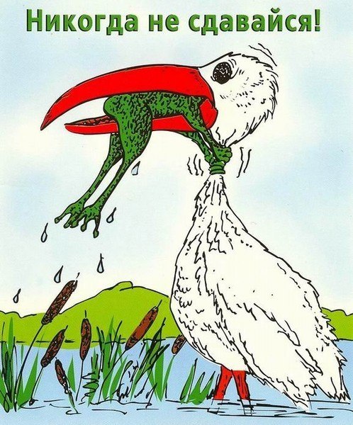 №146, Ольга Чебыкина(Запольная), 59 лет, Санкт-Петербург №146, Ольга Чебыкина(Запольная), 59 лет, Санкт-Петербург