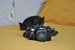 Бигимот Старогородский фотография #12