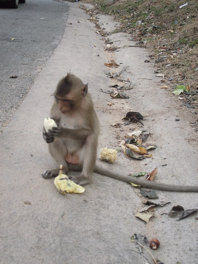 Павел Никольский MADONNA | Москва