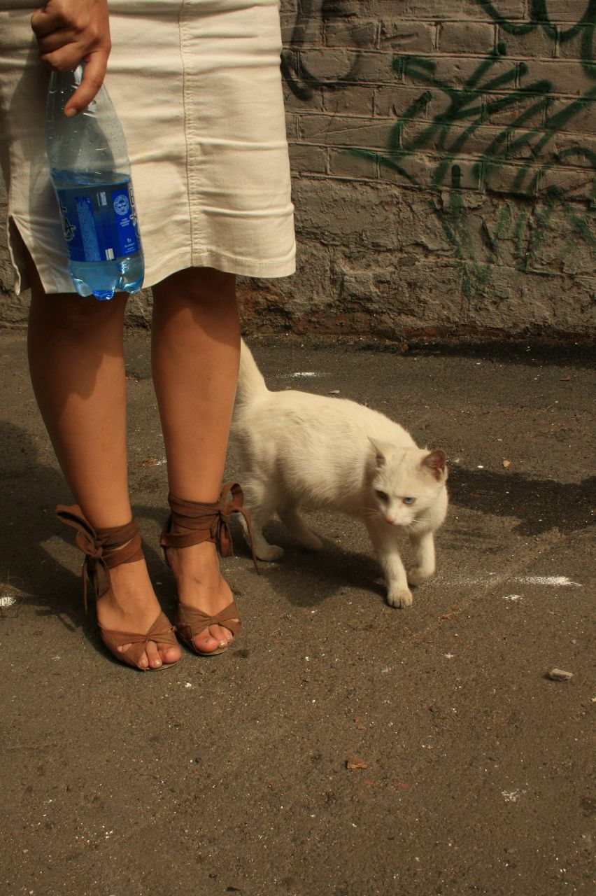 Рита Макаревич | 