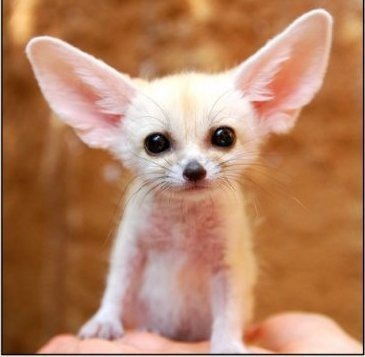 №141, Людмилка Лоло, 96 лет, Тернополь №141, Людмилка Лоло, 96 лет, Тернополь