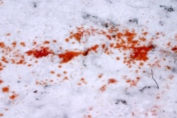 №102, Георгий Шульга, 33 года, Ростов-на-Дону №102, Георгий Шульга, 33 года, Ростов-на-Дону