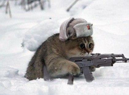 Anatoliy Cheredov | Омск